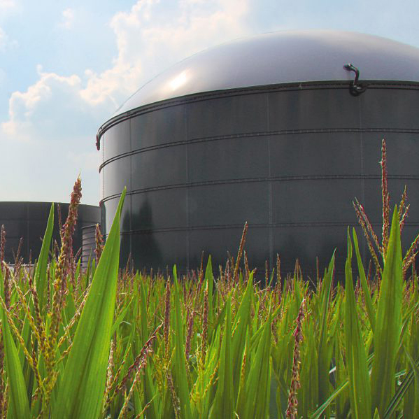 PlanET Biogas Solutions